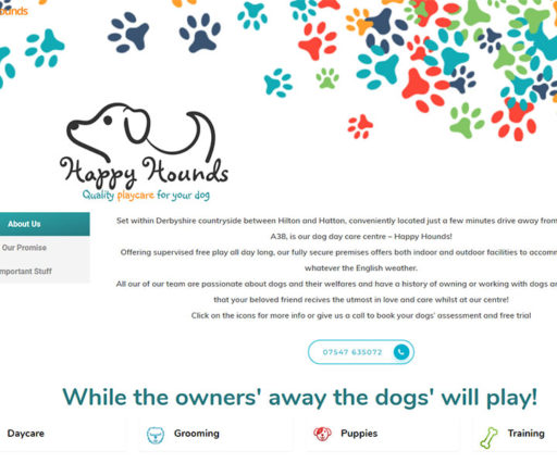 Pets Care Website Design 3