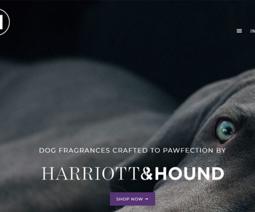 Pets Fragrances Online E commerce store design 4