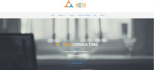 Consulting Website Design 3