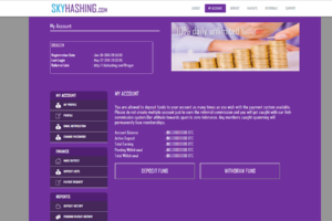 Sky Hashing Website Design2