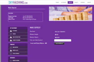 Sky Hashing Website Design3