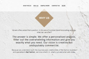 Freelancer Fashion Boutique Website Design 1