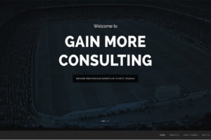 Gain More Consultancy Website Design
