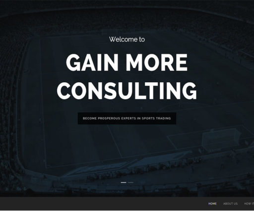 Gain More Consultancy Website Design
